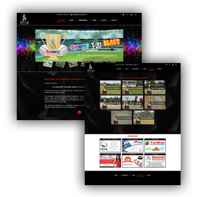 synergy sports management website